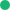 Am_green