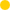 Am_yellow